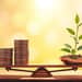 Despesa x Investimento: Como diferenciar e priorizar